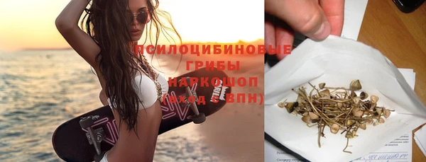 apvp Мегион
