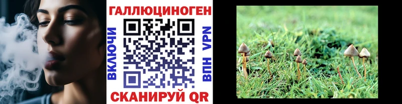 купить закладку  гидра как войти  Галлюциногенные грибы Psilocybe  Данков 